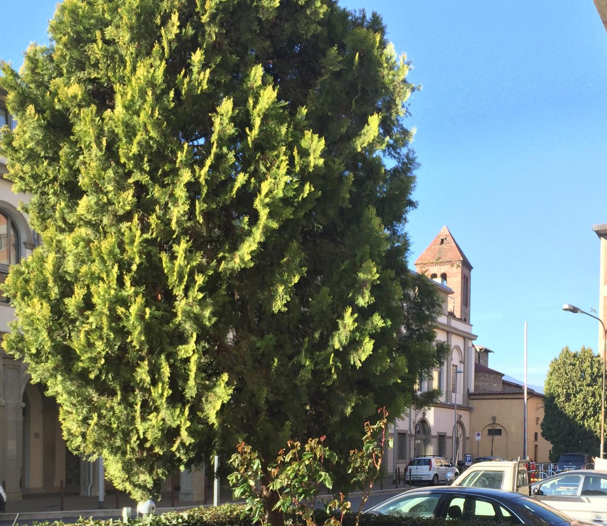 San Donato Flat Leilighet Firenze Eksteriør bilde